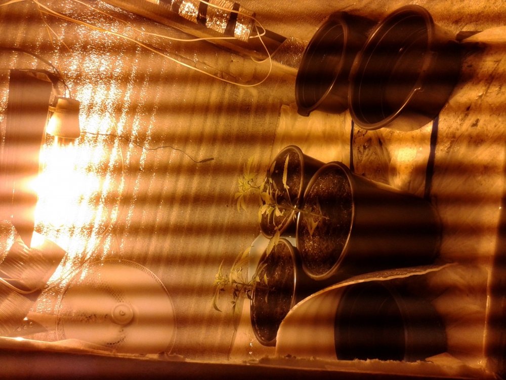 20180915_222611.jpg