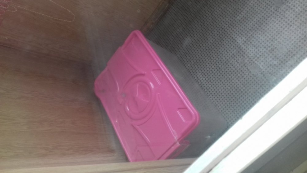 20180917_142942.jpg