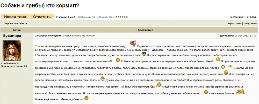 Безымянный.png