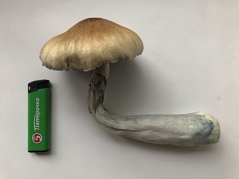 89.jpg.2b3983f14db4115aaea67083d8b744cf.jpg