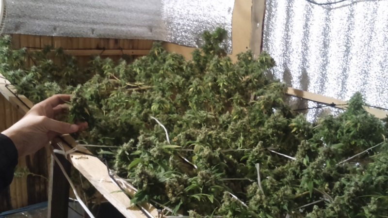 DSC_0254.thumb.JPG.5b1cd1fe4a5d370310cd6cbc75a32ec4.JPG