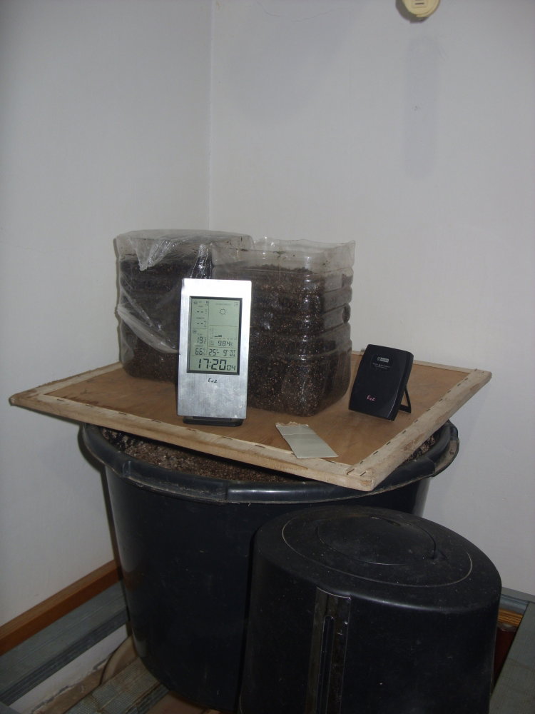 SDC10760.thumb.JPG.df49c44e32bef81c86a4ebd700af0aef.JPG