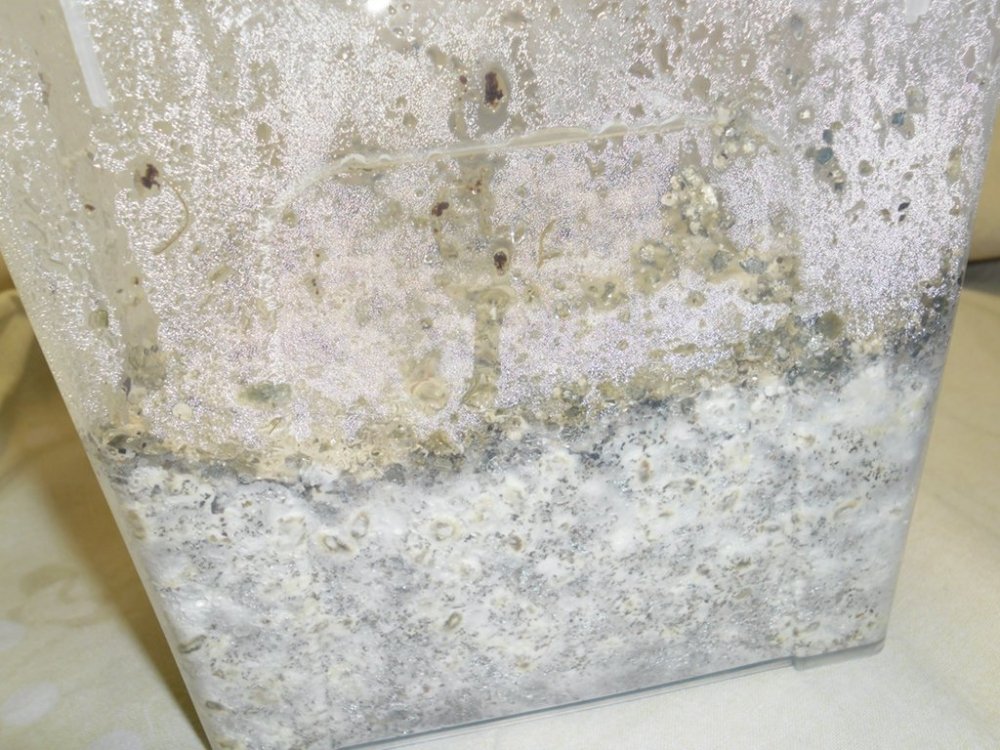 aa2_4.thumb.jpg.b88bc5a0614aab6408f452c8beb37c9f.jpg