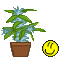 image.gif.e0d46dd021d25f9a4e69fd1bce5c8c97.gif