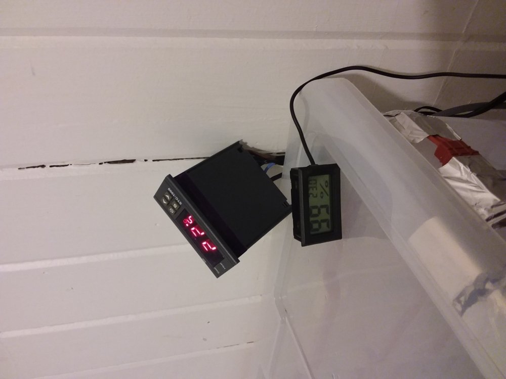 20181013_134657.jpg