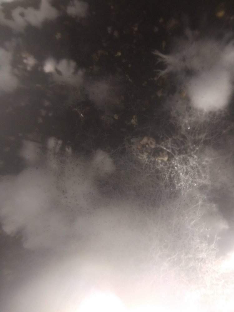 BWZPSdXJlpA.thumb.jpg.2da6fd16b1e7740f776fbd6e90d4b855.jpg