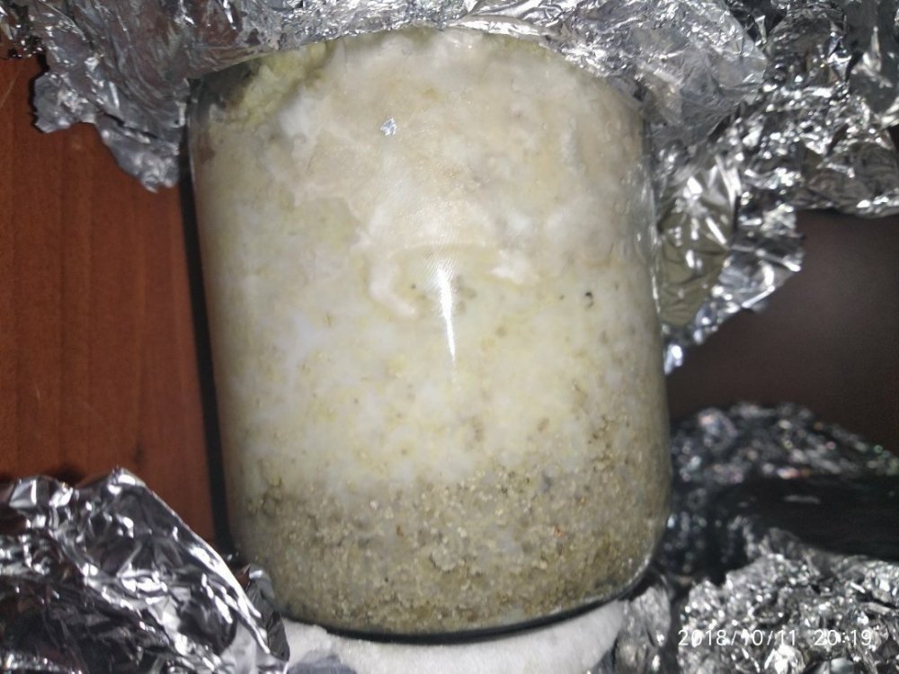 CdCug-p-01s.thumb.jpg.162d830cf05dea35b44a41a572cbe401.jpg