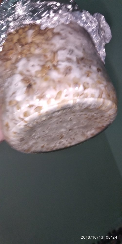 IMG_20181013_082430.thumb.jpg.44ce2c7741b4f4bc86877b20eada0fee.jpg