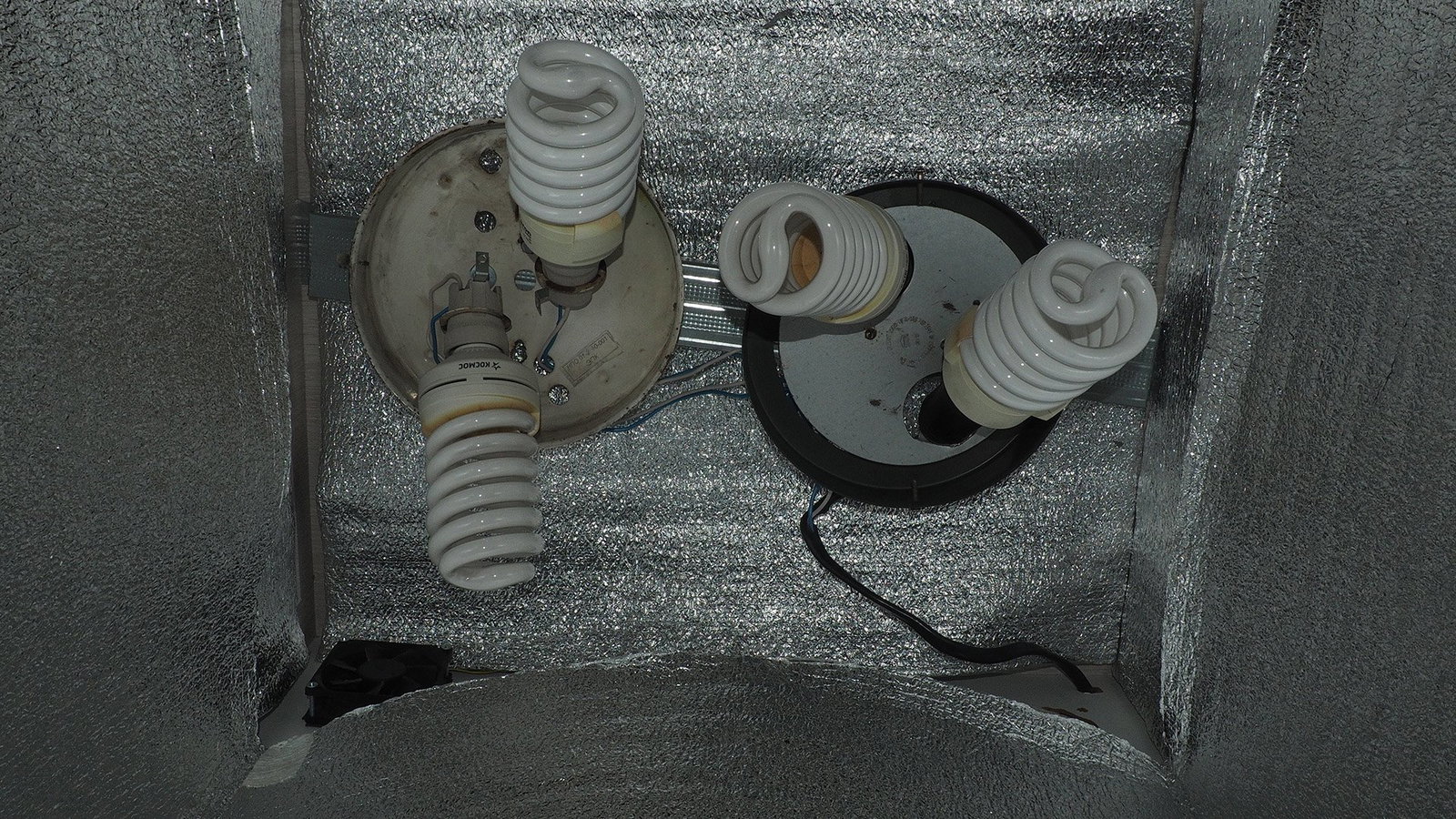 PA240015.JPG.205dca38c0d046a24f2808f540570fd5.JPG