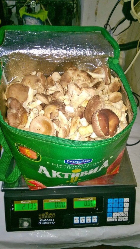 WP_20170130_013.jpg