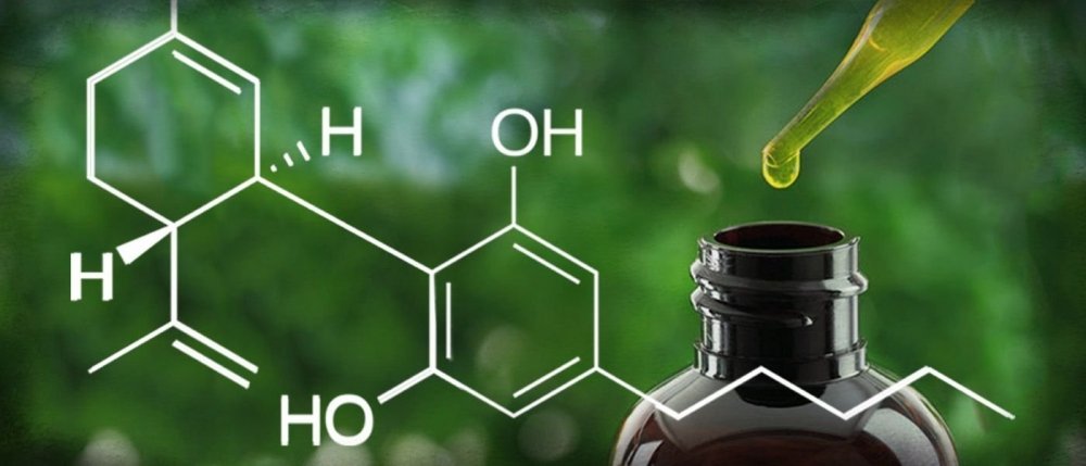 heres-everything-you-need-to-know-about-cbd.jpg
