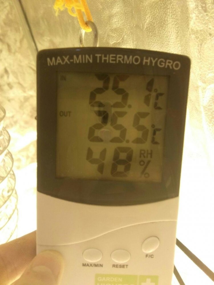 imgonline-com-ua-dexifdl8ozlmZjtNT.thumb.jpg.e0d103d4b4f95d4684b2901c976b062f.jpg
