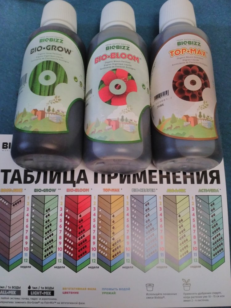 imgonline-com-ua-dexifvP65UN2j00r6.thumb.jpg.215c9068e3dc4f24068d8123b38ac0ed.jpg