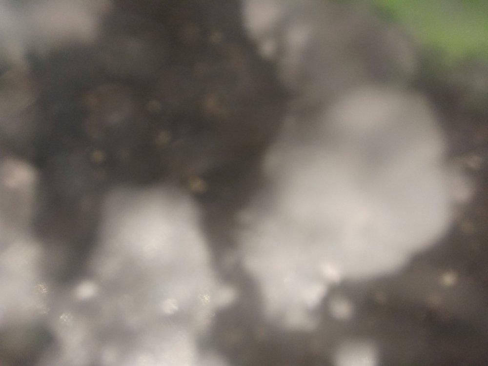 tIT_kGsZdbc.thumb.jpg.2dd1d61afbaf147fe3e6563e4878aa58.jpg