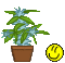 virastil.gif.73834d838c21d0c57a930d52a7f4218c.gif