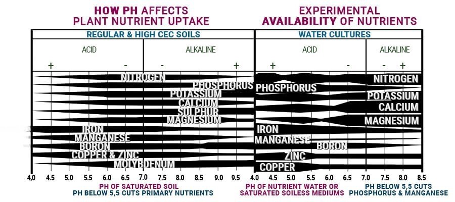 ph level (1).jpg