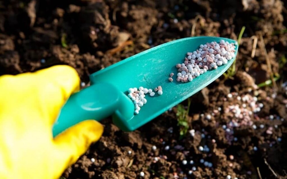 mineral fertilizers (1).jpg