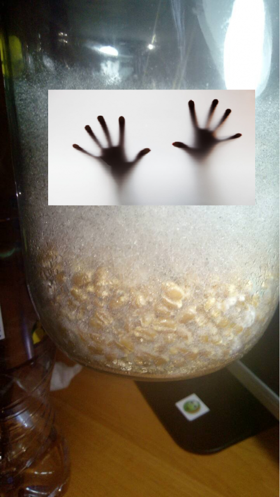 1212121.thumb.png.cab516a8767274e4bf396941dd9c42ea.png