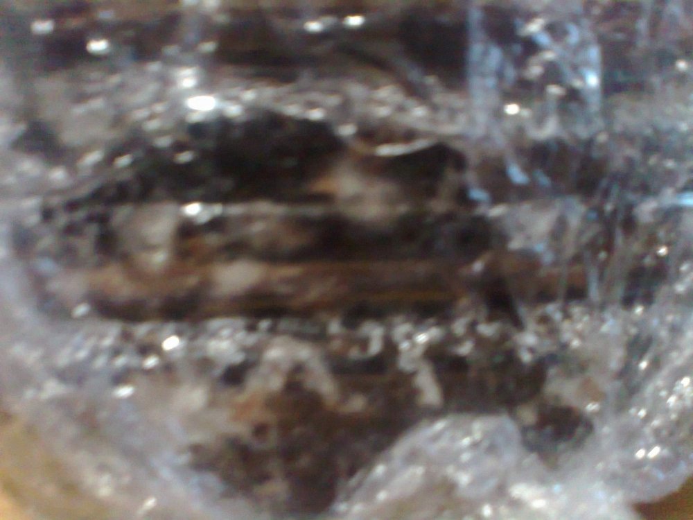1419897070_0456.thumb.jpg.287b66dc31b383d5aad77fd6a94cd858.jpg
