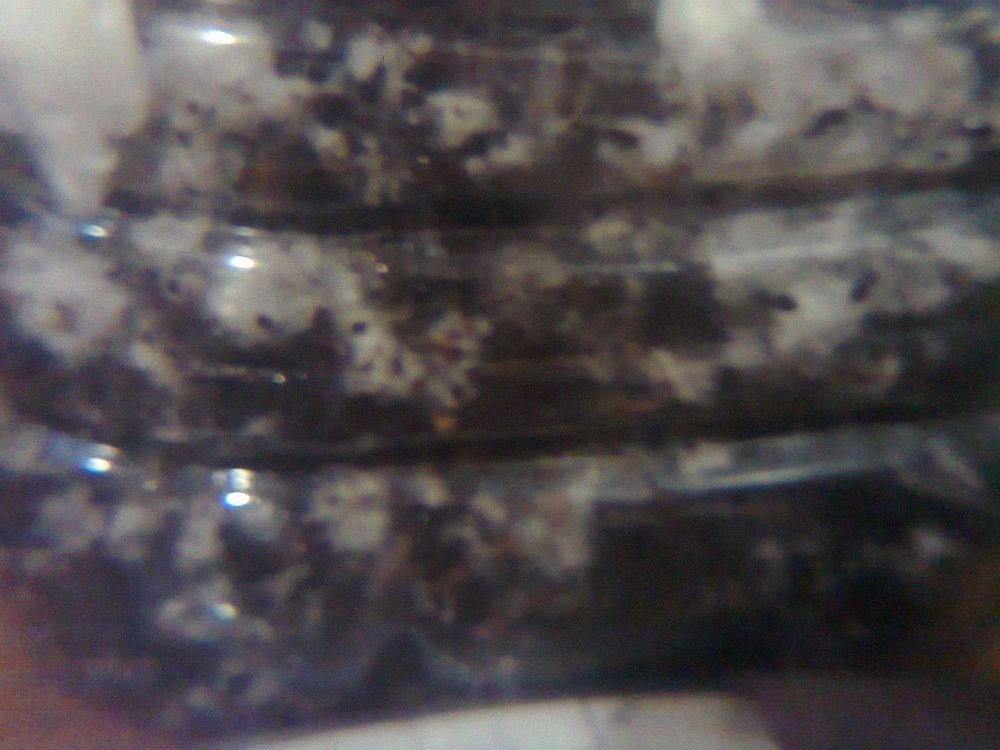1595247260_4.thumb.jpg.6232dc7bc9d59480378c2067aba34f5b.jpg