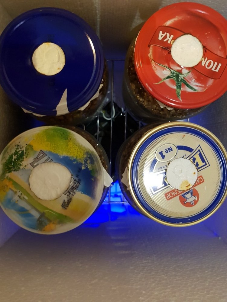 20181101_195426.thumb.jpg.736f1831b5ef9c58717ca4ac841261d4.jpg