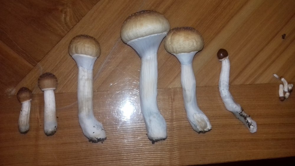 20181115_211818.jpg