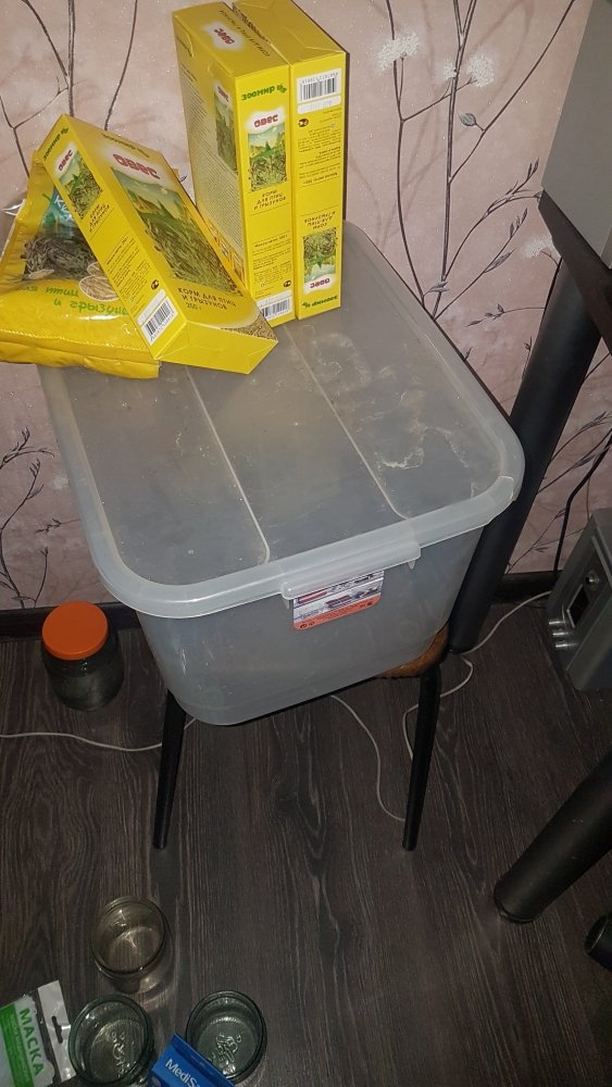 20181120_152717.jpg