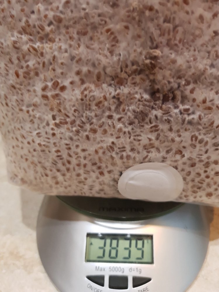 20181124_151332.jpg