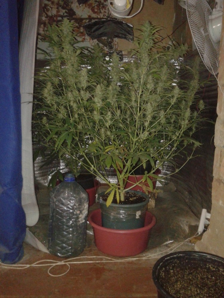 20181126_152809.jpg
