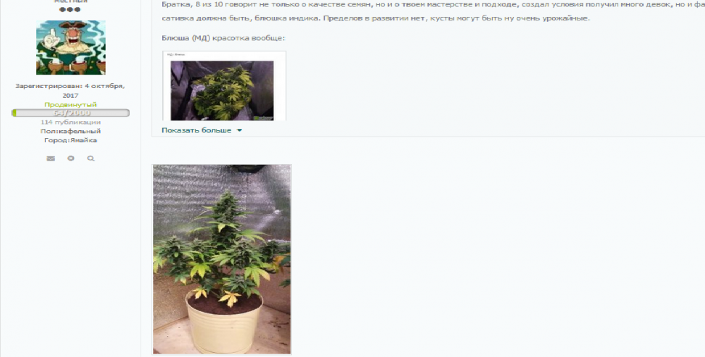 33217421_2.thumb.png.ee26e9c6357fab4db5c7a278d09b0e35.png