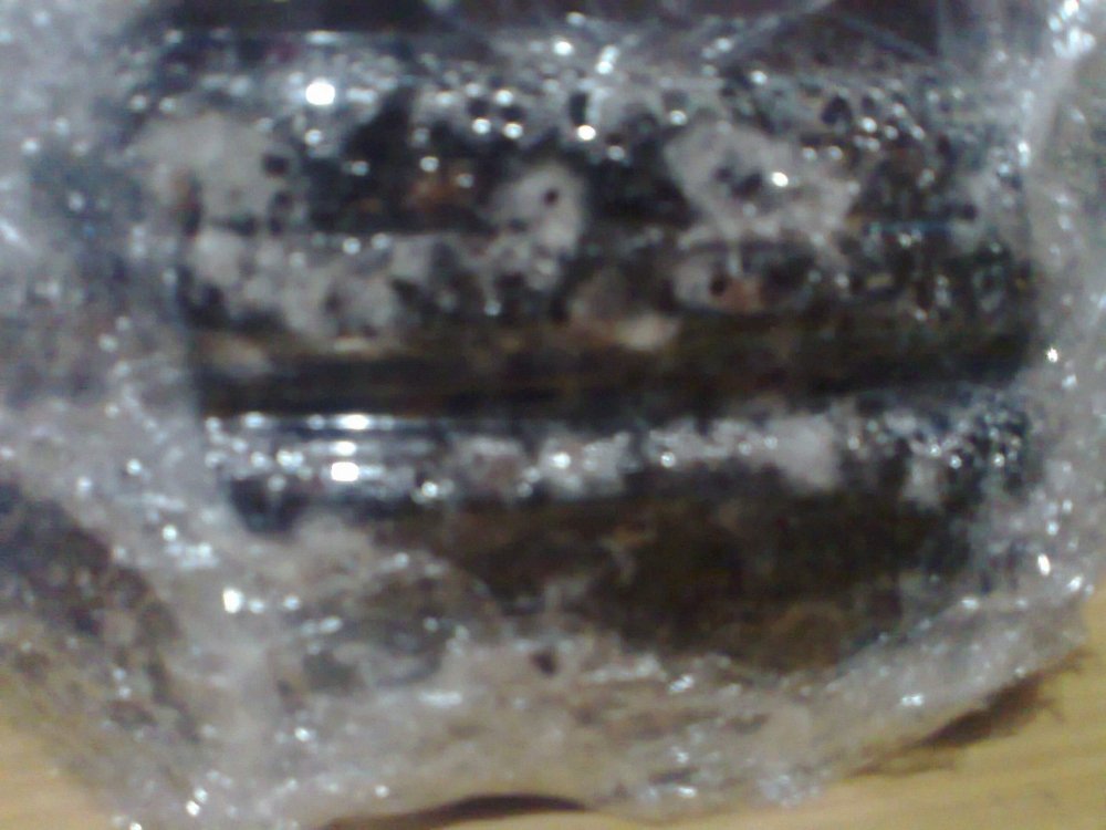 347546116_0457.thumb.jpg.d4025d3de0d31208e3b83da53a4ea711.jpg