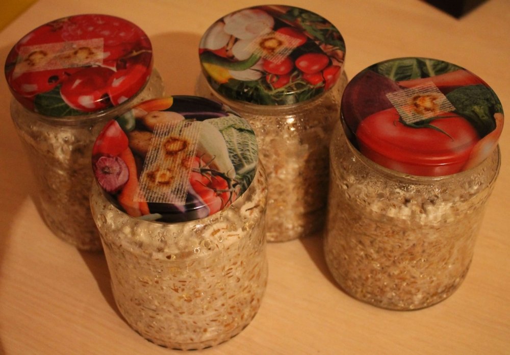 4w834w.thumb.jpg.b40855b9edfe821db417b6586ae110a6.jpg