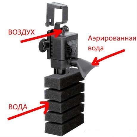6.thumb.jpg.1e822b472b5cae406d4303816c8191e9.jpg