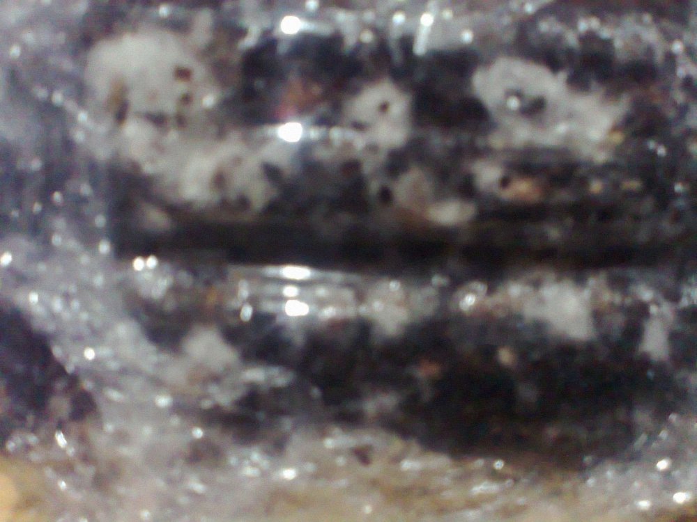 846388026_0468.thumb.jpg.7027374de767df14ac315d28189f83e1.jpg