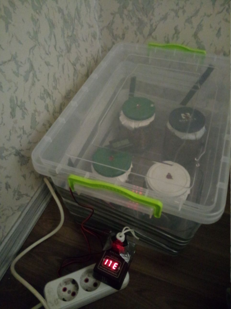 image.thumb.png.1ef2af03d70543273efbfd1538a315eb.png