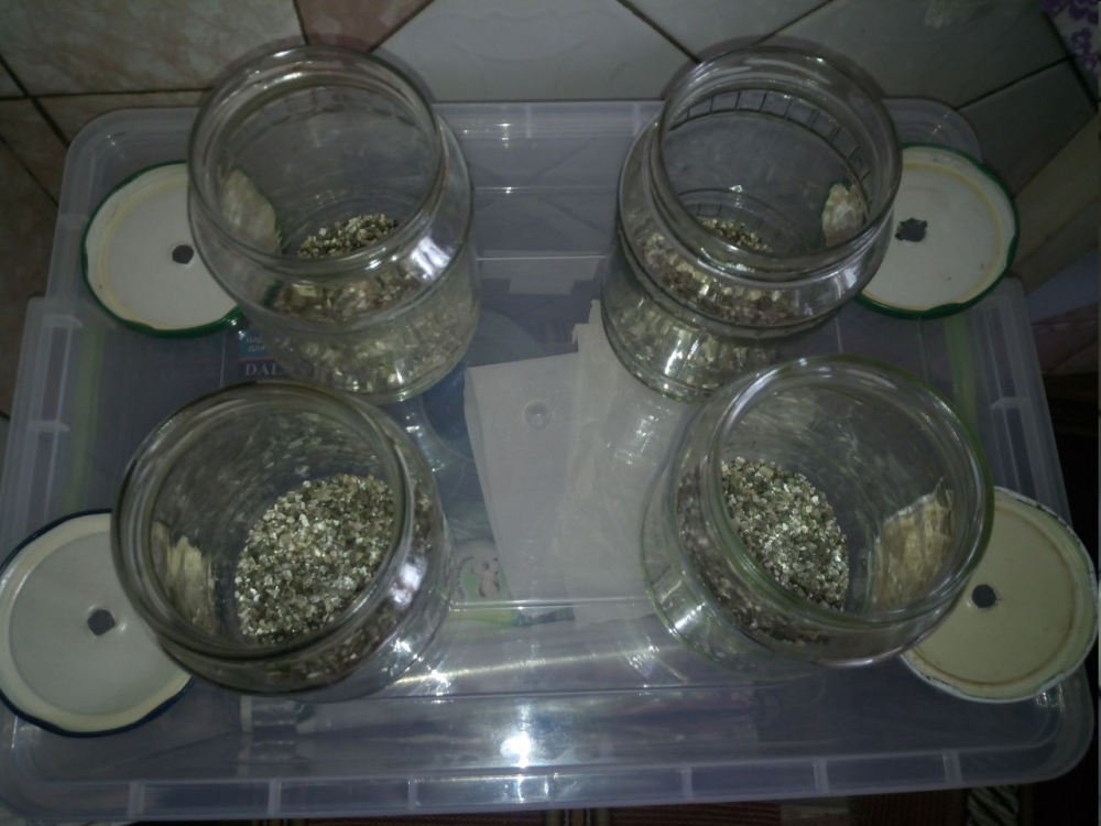 image.thumb.png.70f96d18627a53e6139e78acab1d0294.png