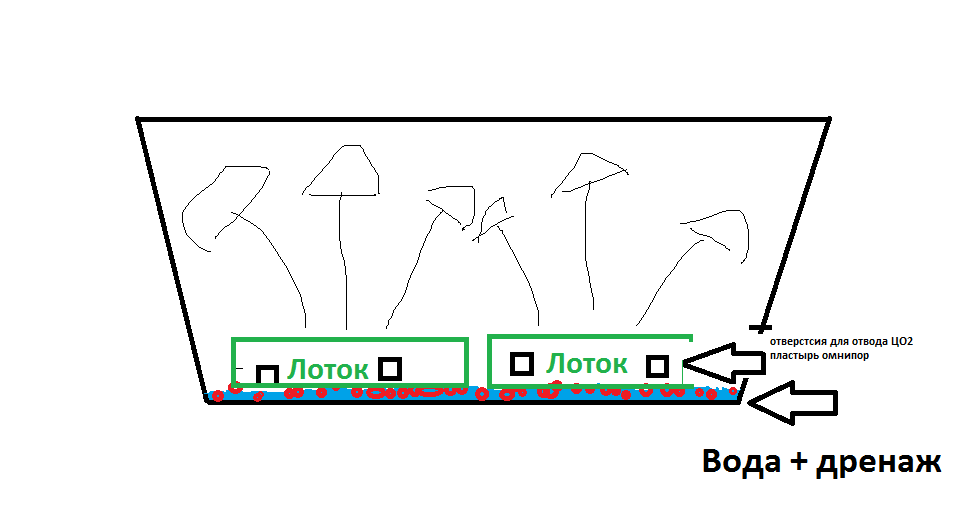 image.thumb.png.80edf6c6235578e0cb54f480767510d6.png