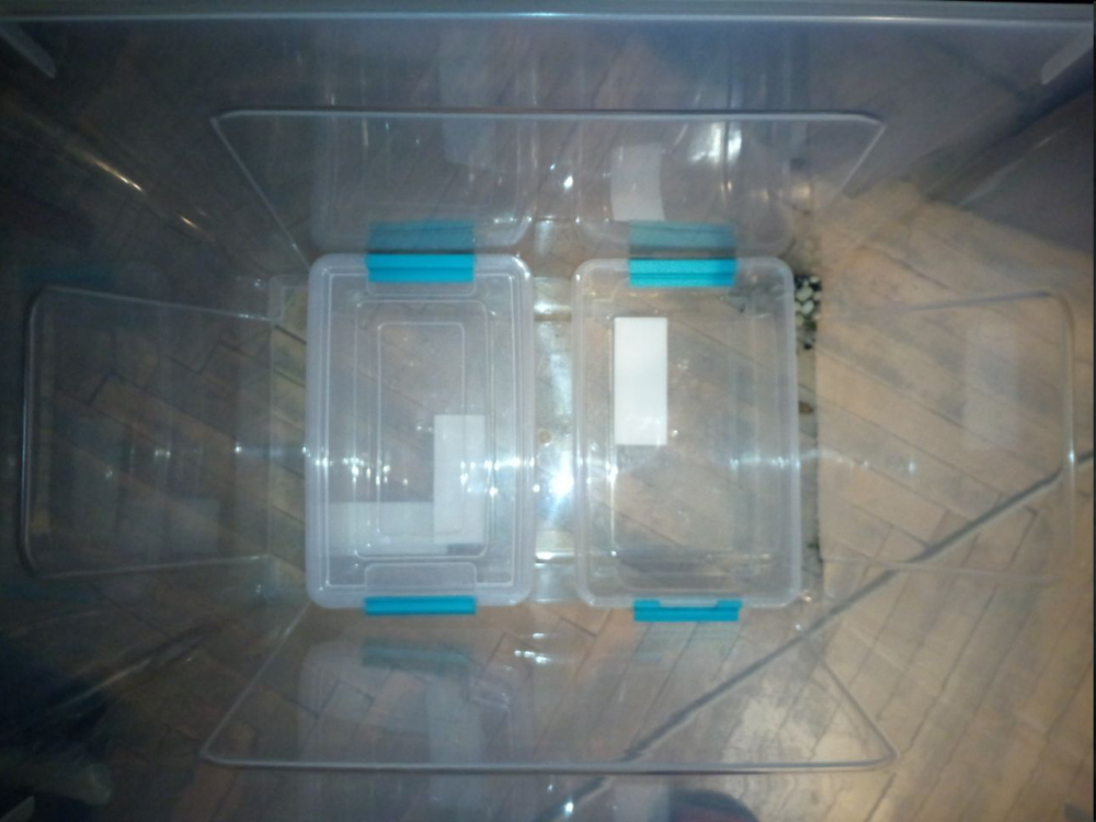 image.thumb.png.b51a509425d51f15d971de81a7f170b9.png