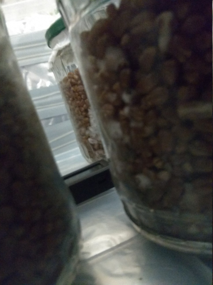 image.thumb.png.ec078a773288cdf761a795eede9de23e.png