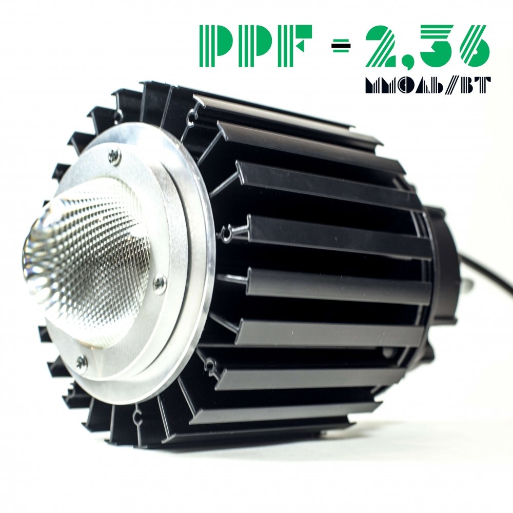 100W_2new.thumb.jpg.065e5062e8346b5d1e833c7868cf2121.jpg