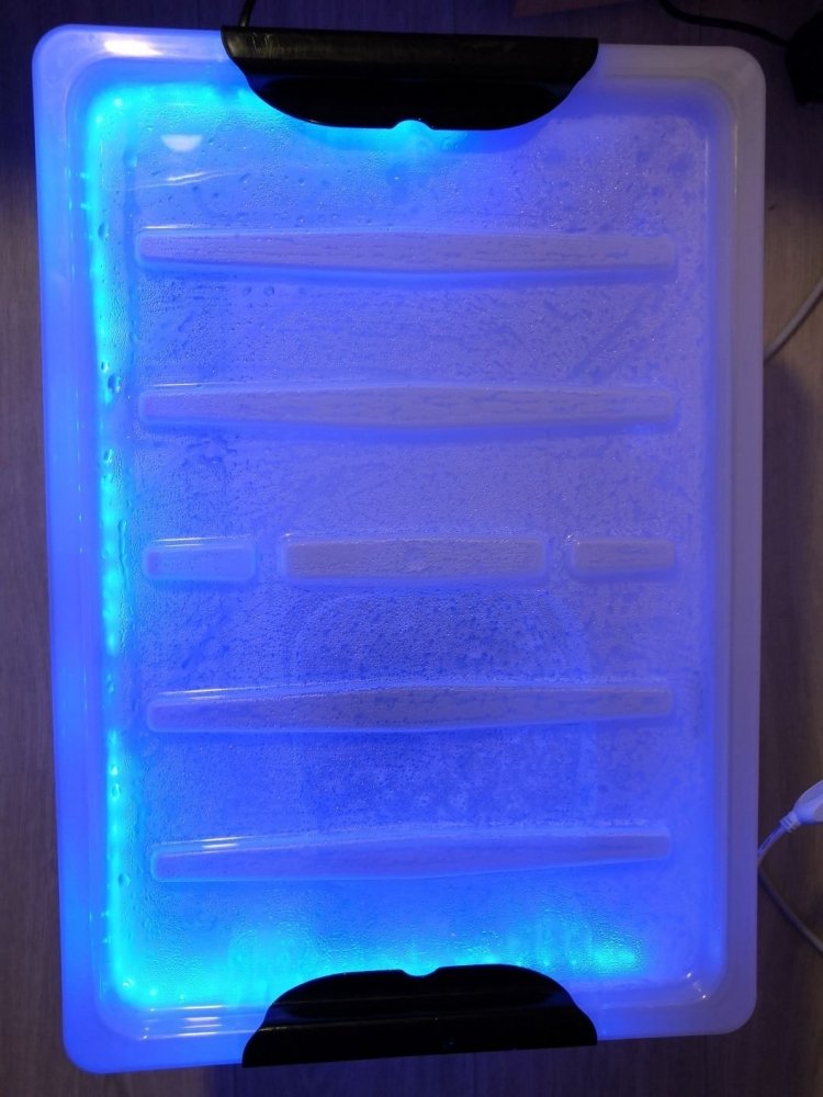 1546022323666176.jpg