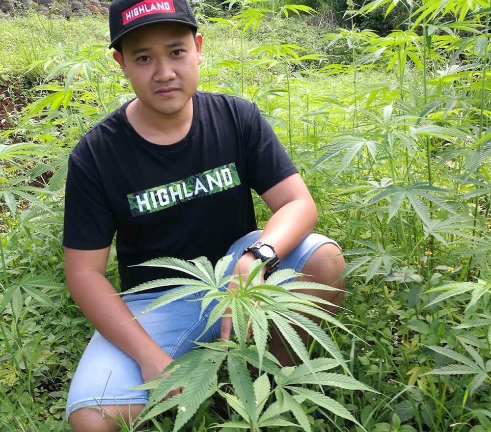 тайланд и марихуана
