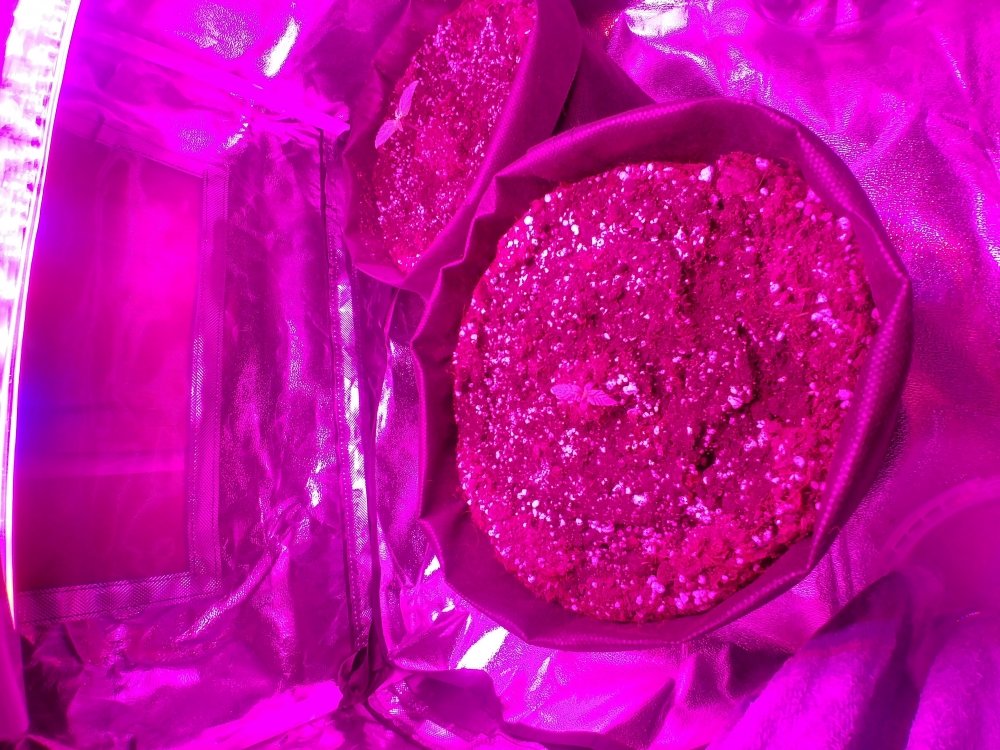 20181231_124425_HDR.jpg