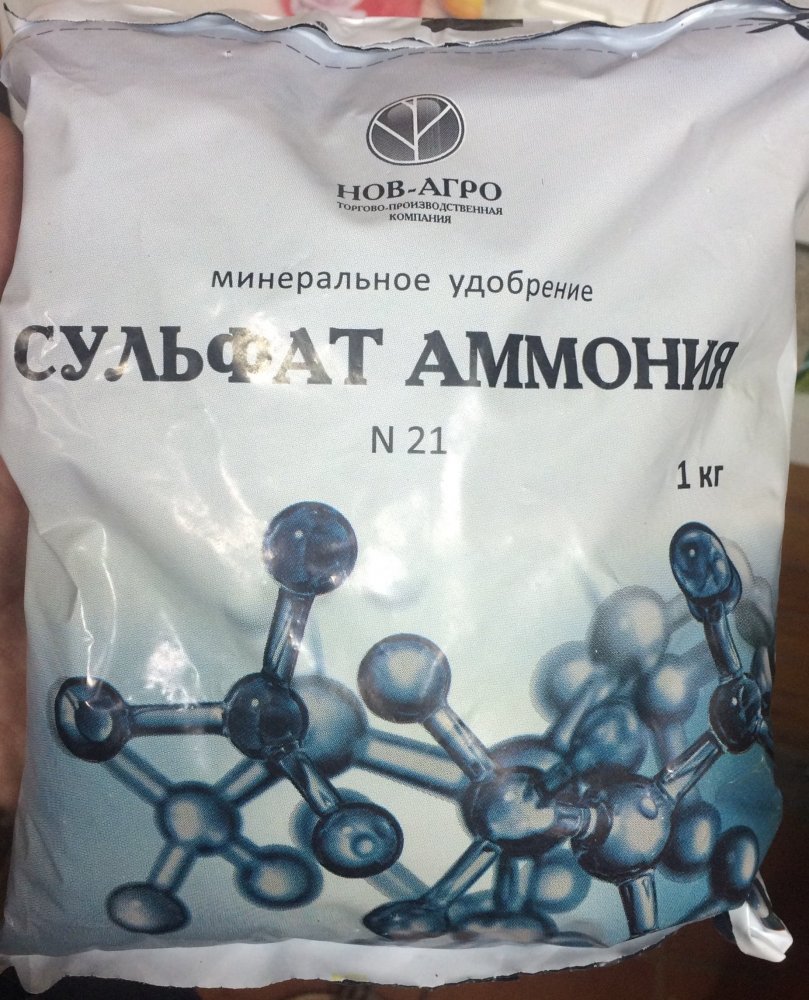 36A9DFBF-AFA0-429F-AFE4-6E25DEEBF8D6.jpeg