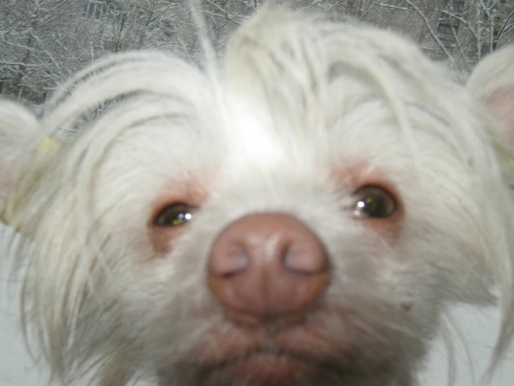 648895207_062.thumb.jpg.31f0e93b7ff5768a343963d8dc34c332.jpg
