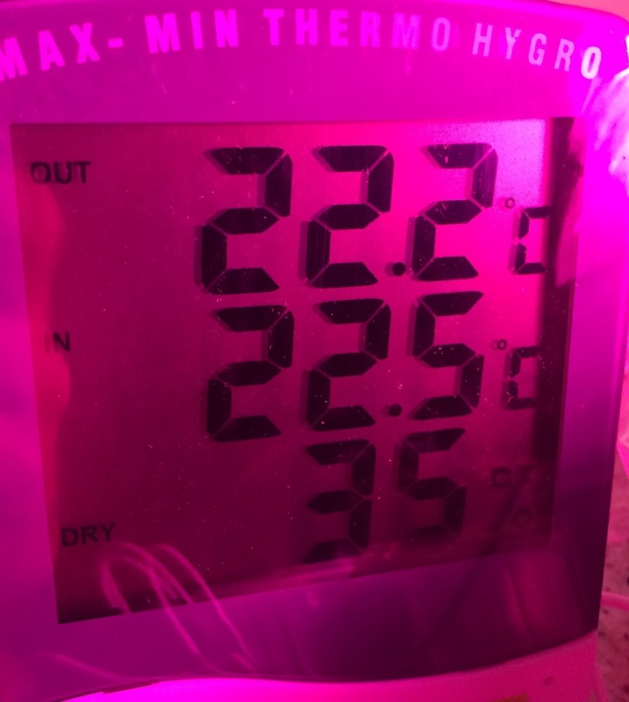 A2E1535B-ED9B-4875-8D8A-0980BBD59AC9.jpeg