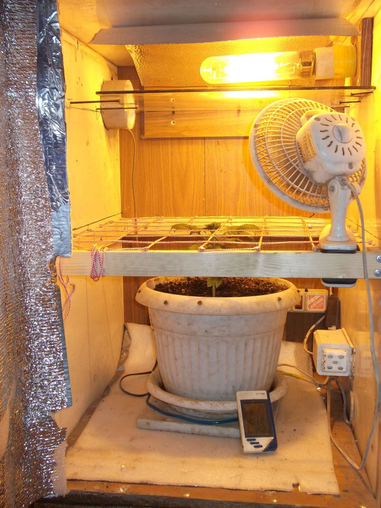 DSCF9312.JPG