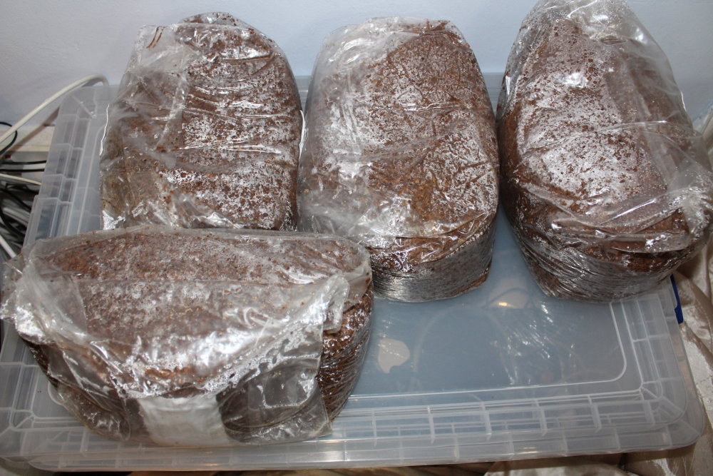 IMG_1414.thumb.JPG.116b8961f564b3d2b5ea018bafab9b39.JPG