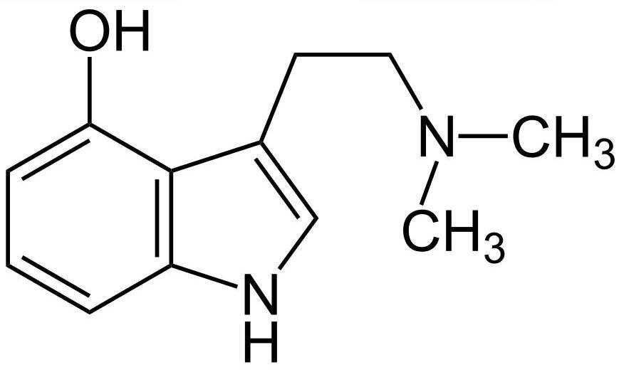 psilocin.thumb.jpg.acf53ff923d5e7ca079521b09f5b0049.jpg