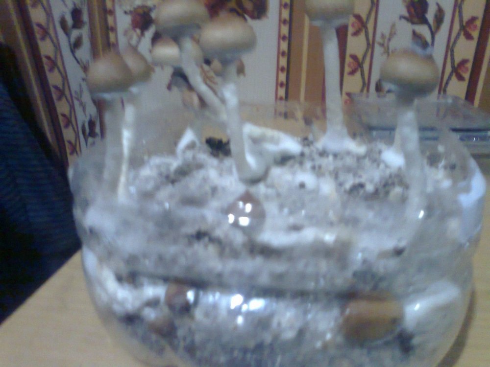 1799551894_0569.thumb.jpg.5cc830ee8a50c35ce143ab4617d43013.jpg